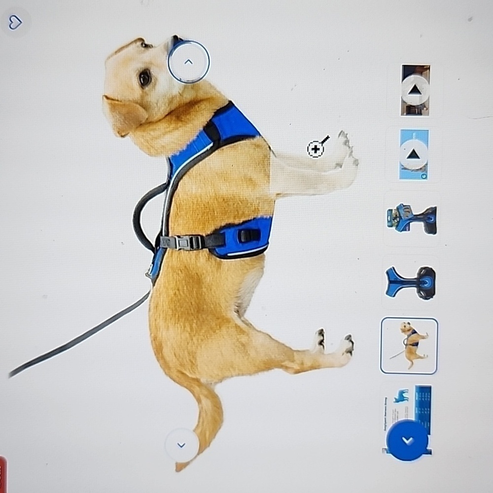 NWT PetSafe EasySport nylon reflective back clip dog harness XS